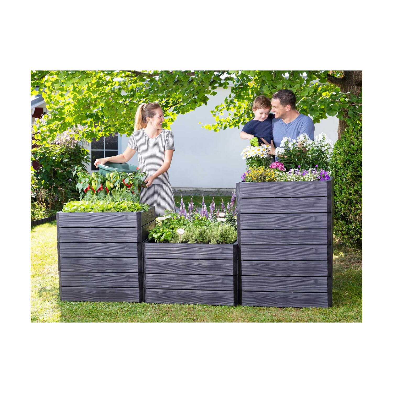 645117  Hochbeet Baukasten-System:  Erweiterbare Hochbeet- / Komposter- / Pflanzbehälter-Elemente,  1 Element ERGO QUADRO L System, Kunststoff Farbe Wood 80 x 80  Höhe  25 cm 	 
		 (Hochbeet, Hochbeet Kunststoff, Gemüsebeet, Kräuterbeet, Komposter, Graf Garantia, made in Germany, ergo)  
	