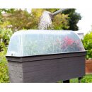 URBAN Anzuchthaube transparent 75 x 37 Höhe 22 cm