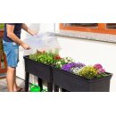 URBAN Anzuchthaube transparent 75 x 37 Höhe 22 cm