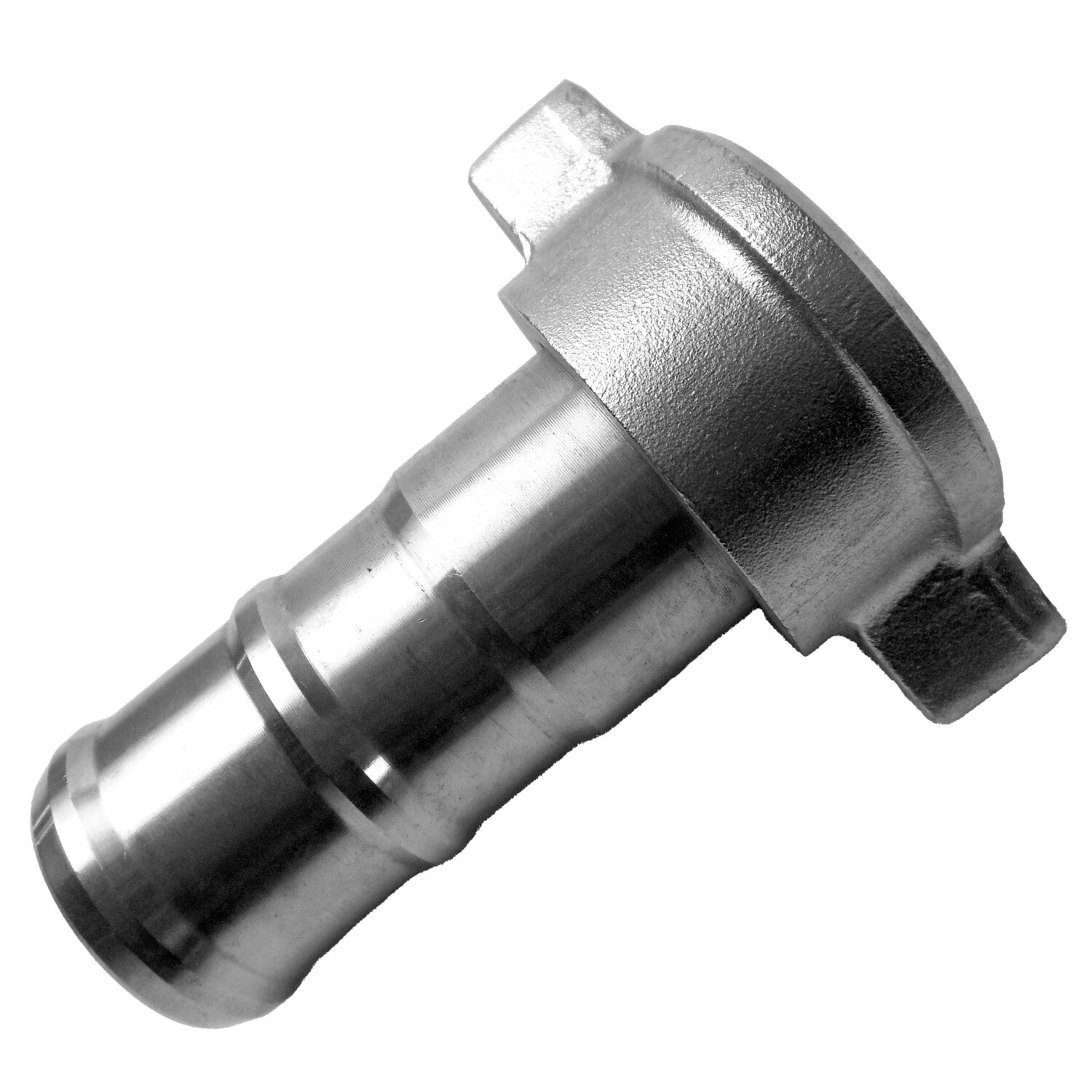 36008  Schlauchverschraubung / Schlauchtülle 2/3 Mt  32 Mz / 13 mm / Zubehör Kellerei 	 
		 (Schlauchverschraubung 2/3 Mt  32 Mz / 13 mm,  Zubehör Kellerei)  
	