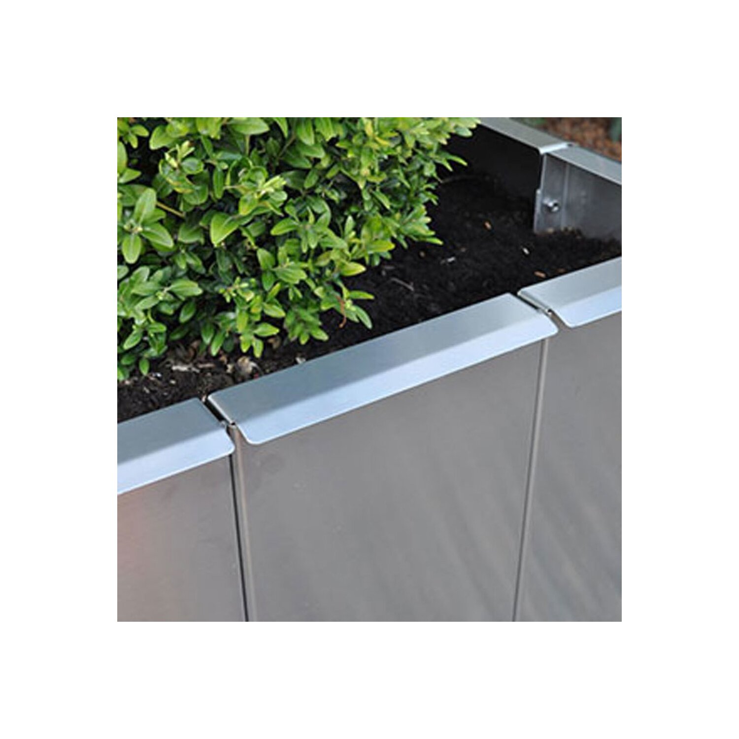 850GM160500-SchnSchutz  Schneckenschutz für Beet "Square 160" ca. 2,5cm 	 
		 (Edelstahlbeet, Schneckenabweiser)  
	