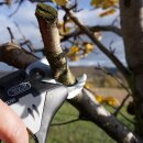 Schneidblatt beweglich Ø 35 für elektrische Akkuschere KV600 (bis SN:PM.0419.500.SY) / Ersatzteil / Zubehör