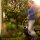(NEU)   YERD® Schlauchaufroller v2021: 25m Automatik Schlauchtrommel Wasser, mit Gardena kompatiblen Anschlüssen,  1/2 Zoll Gartenschlauch,  inkl. Nachspann-Werkzeug und Komfort-Gartenbrause, Wand-Montage  und mobil verwendbar