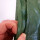 YERD 3x6m Abdeckplane mit Ösen, wasserdicht:  Gewebeplane  grün,  180g/m² starkes PE,  mit stabilen 12mm Aluminium-Metallösen, verstärkter Saum und extra verstärkte Eck-Ösen