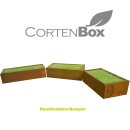 YERD CortenBOX 120:  stabiles  Kaminholz-Regal 120x60x35cm, Holzbox / Holzregal aus echtem Corten-Stahl (!),  Holzlege Farbe Rost-Patina, verschweißtes (!) Stahl-Regal für Feuerholz (TOP Preis-/Leistung)