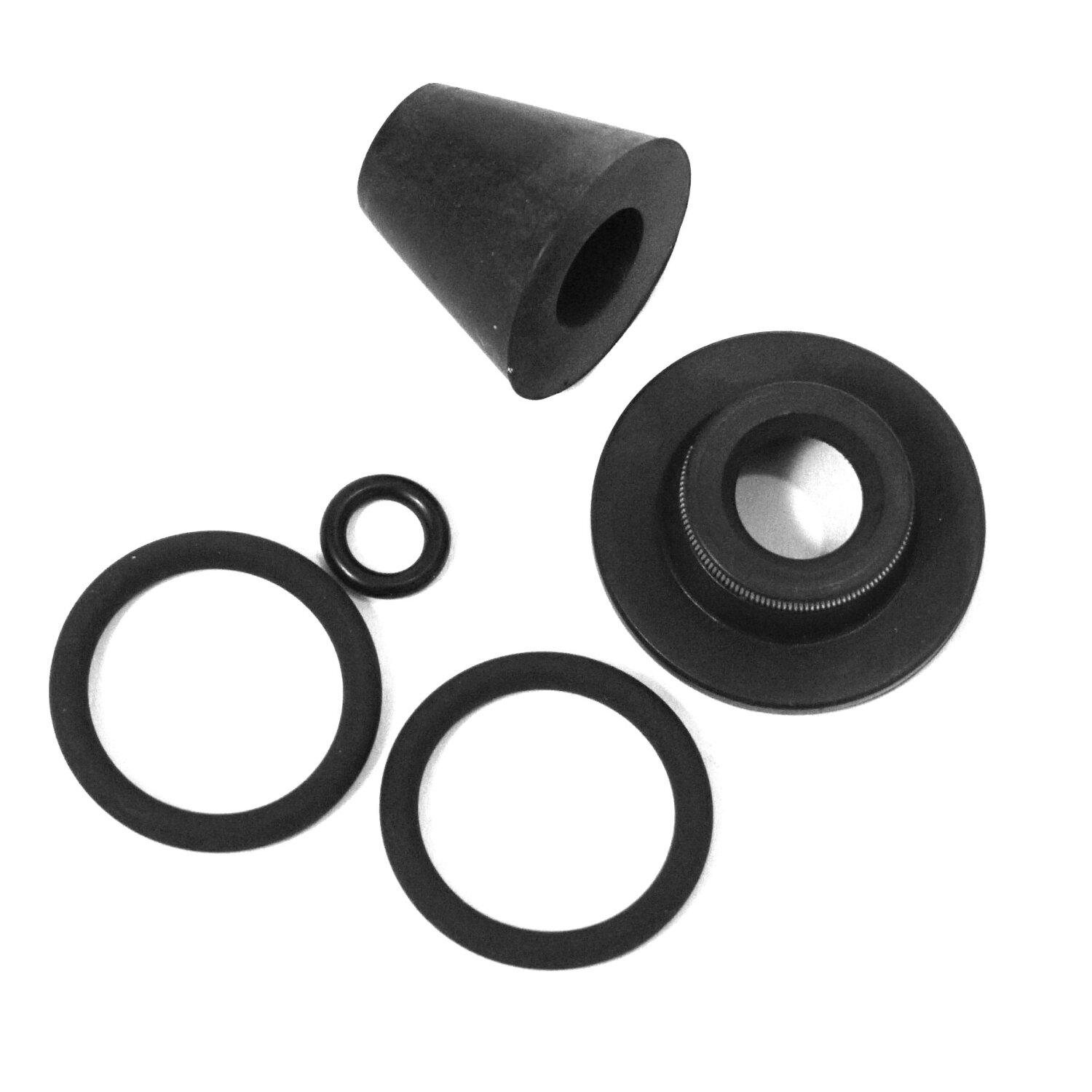 F4QLRCO1500V  Dichtungs-Kit komplett für 10 mm Ventile Heißabfüllung mit O-Ringen / Ersatzteil Abfüllgerät 