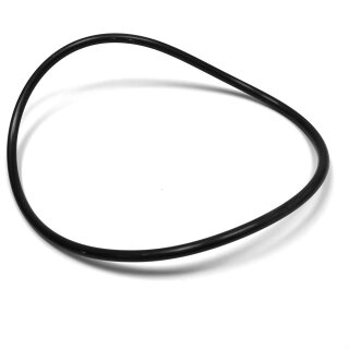 O-Ring Ø150 x 5,3 / Ersatzteil BACCO Vakuumabfüller