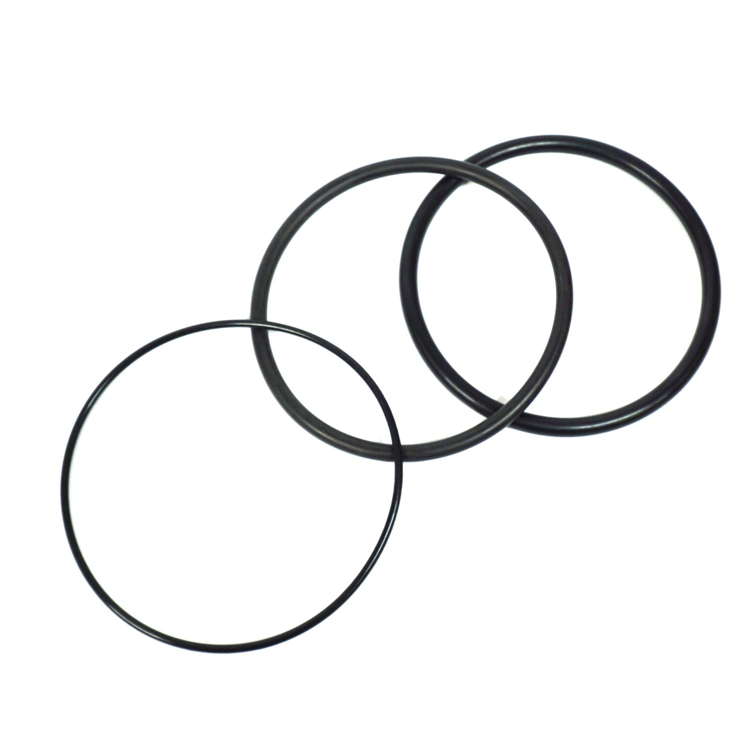 15966  O-Ring   Ultrafiller Behälter, Set / Ersatzteil 