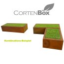 YERD CortenBOX 100: stabiles  Kaminholz-Regal  100x60x35cm,   Holzbox / Holzregal aus echtem Corten-Stahl (!), Holzlege Farbe Rost-Patina,  verschweißtes (!) Stahl-Regal für Feuerholz