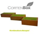 YERD CortenBOX 150: Cortenstahl Beet-Einfassung 150x60x3, 35cm Hochbeet aus echtem 1,6mm Corten-Stahl (!), Farbe Rost-Patina, verschweißt - nicht verschraubt, witterungs-beständig,  auch stehend als Brennholz-Regal verwendbar  (Versand kostenfrei*)