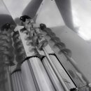 SONDERPOSTEN:  Abbeermaschine Edelstahl mit Elektro-Motor, FISCHER-LAHR Sondermodell TA1500EL, mit Förderschnecke im großen Trichter, 230V, 1500kg Trauben pro Std., Walzen Alu , (!) Sonderausführung -  nur so lange Vorrat reicht (!), Versand kostenfrei*