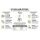 Obstmuser / Obsthäcksler: FISCHER-LAHR  EFC2000, die 2 kW (!) ~2,7 PS  Kernobstschneidemühle, Leistung 1000 kg/h, 230V, Obstmühle elektrisch für Äpfel, Birnen, Quitten (!)... NEU: Teleskop-Einfüllsäule, Transportrad,IP54 Spritzschutz (versandkostenfrei*)
