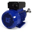Impellerpumpe WI30B Euro 30,  Edelstahl-Pumpe lebenmittelecht, 4500 l/h, ohne Bypass, 230V, 1,5 PS , 900 U/Min, made in EU
