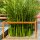 Corten PAQUETE VACIO 2 Beeteinfassung  / Zaun / Rank-Barriere / kommunaler Beet-Schutz, offenes Rahmen-Design aus Corten-Stahl 120x120x30 cm, Materialdicke 2mm, made in EU