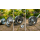 YERD Universal Aluminum Fadenkopf - Wild Unkrautbürste, für 2 bis zu 18 (x2) Fäden, für alle gängigen Motorsensen ab 2PS, Adapter für 20mm und 1" Zoll Aufnahme