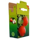 (STAFFELPREISE BEACHTEN!) Neues Motiv  2025 - Apfelsaft Bag-in-Box Karton: Motiv "Apfel", Saftkarton 3 Liter