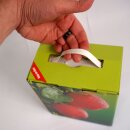(STAFFELPREISE BEACHTEN!) Neues Motiv  2025 - Apfelsaft Bag-in-Box Karton: Motiv "Apfel", Saftkarton 3 Liter