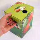 (STAFFELPREISE BEACHTEN!) Neues Motiv 2025 - Bag in Box Apefelsaft:  Karton, Motiv "Apfel", Saftkarton 5 Liter