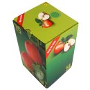 (STAFFELPREISE BEACHTEN!) Neues Motiv 2025 - Bag in Box Apefelsaft:  Karton, Motiv "Apfel", Saftkarton 5 Liter