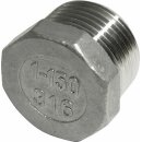 Blindstopfen, Verschlussstopfen  1 1/4 Zoll, Edelstahl,...