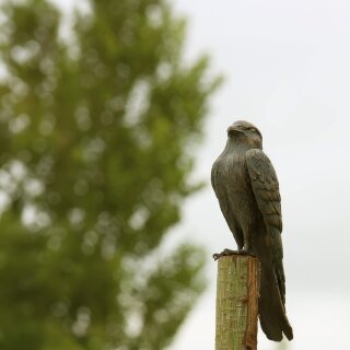 Gartendeko Figur: Bronzefigur Garten,  Turmfalke, 31 cm hoch, original Rottenecker Objekt