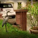Bronzefigur Graureiher  56 cm hoch