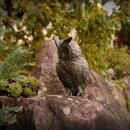 Gartendeko Figur: Bronzefigur Garten,  Waldohreule, 25 cm hoch, original Rottenecker Objekt