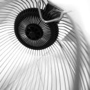 Der bewährte PROFI Rollsammler für Nüsse: YERD - original Roll-In Small (NEU v2022) Haselnuss-Sammler / Rollsammler Eicheln  -  erspare dir jetzt das mühsame aufsammeln!